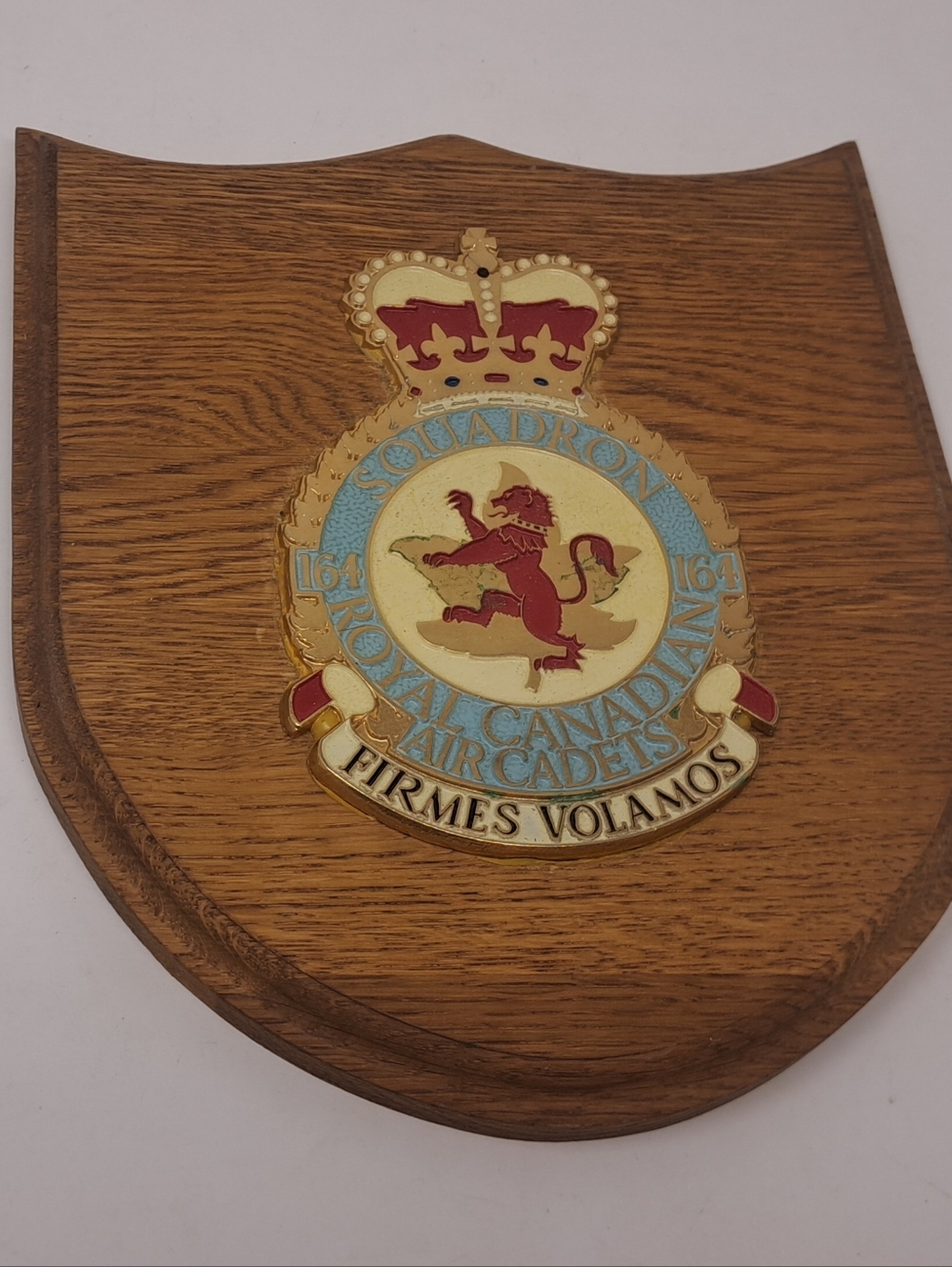 Royal Canadian Air Cadets Squadron 164 Vintage Wood Plaque Armed Forces Military - Picture 1 of 7